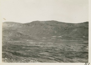 Image of Lava Field